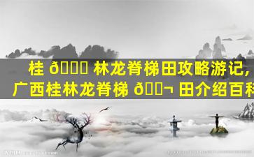 桂 🍀 林龙脊梯田攻略游记,广西桂林龙脊梯 🐬 田介绍百科